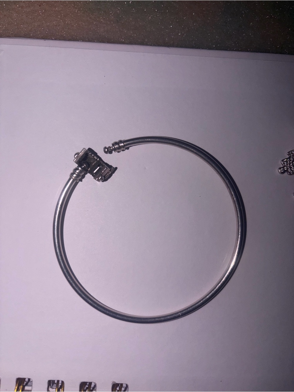 Pandora Silver-Tone Bangle Bracelet